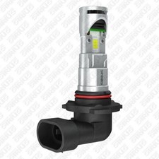 Ampoule Projecteur Longue