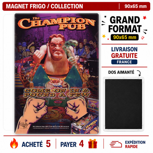 Magnet frigo flipper the - ,