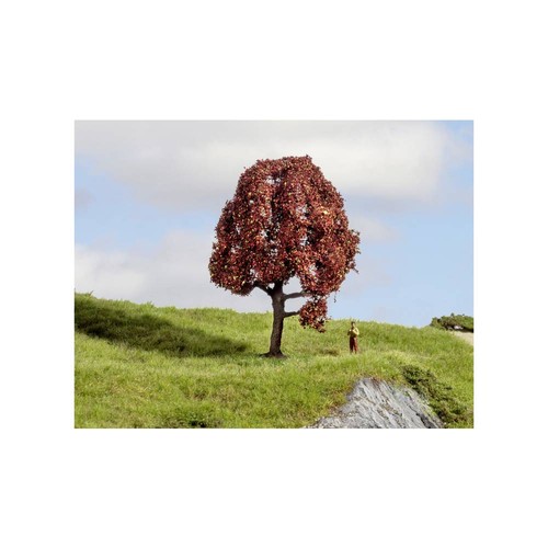 Noch 20151 arbre hêtre - 20151,