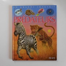 La grande imagerie 2011