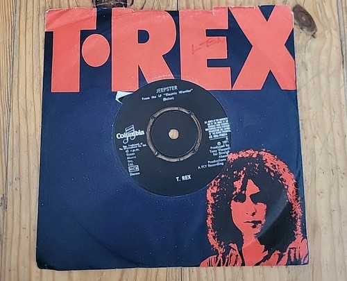 Vinyle 45t rex - -, life's