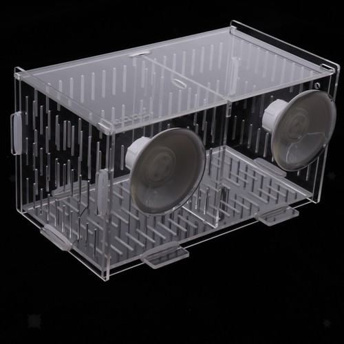 Reproduction aquarium - reproduction,