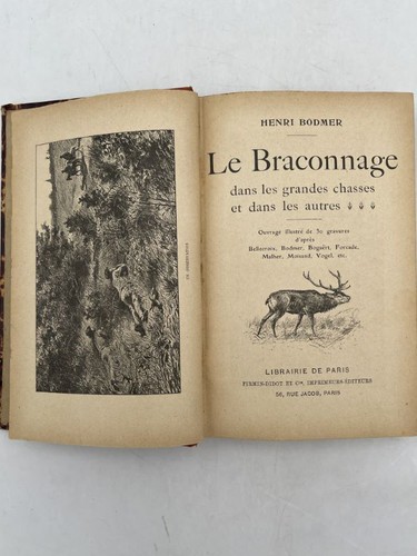 Braconnage dans les grandes - les,