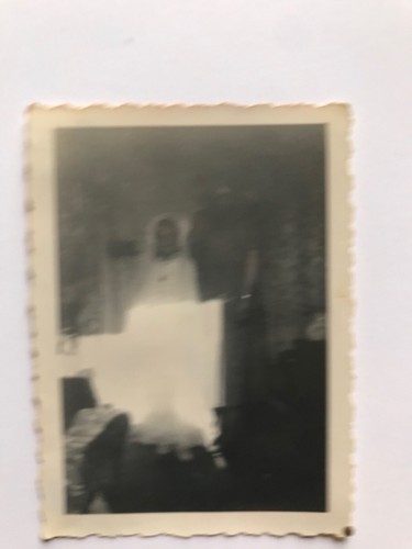 Snapshot photo originale - snapshot,