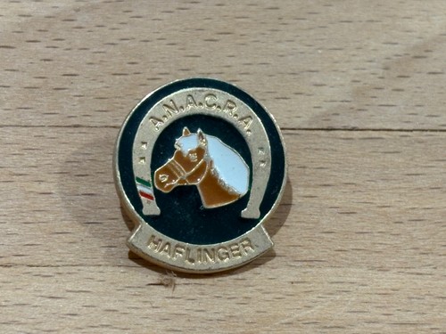 Pins pin cheval - , horse