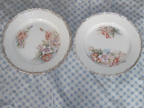 Assiettes anciennes terre - 2,