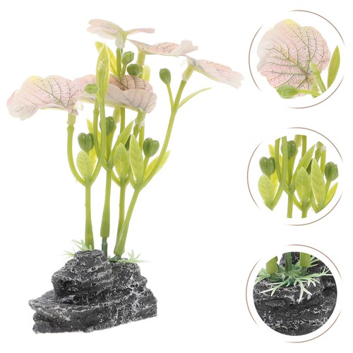 Plantes pour aquarium - plantes,