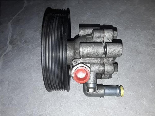491100100r pompe direction - 491100100r,