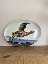 Plat Oval Décor Canard Colvert En Céramique Italienne - Coloré - Rare