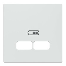 Plaque centrale pour station