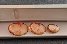 3 articles vintage en argent 925 coquille ovale camée marron et blanc...