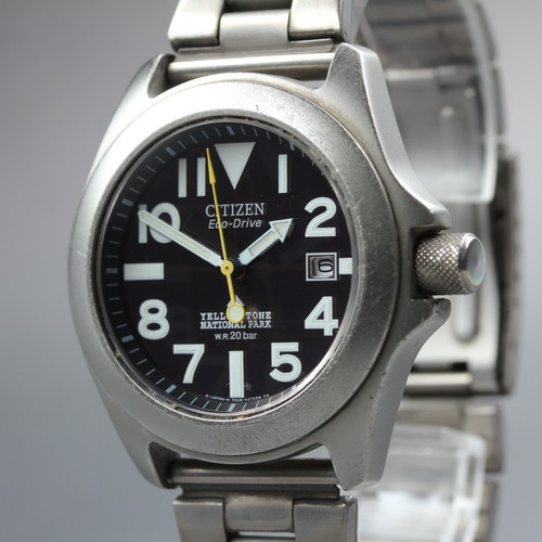 Citizen promaster yellowstone - citizen,