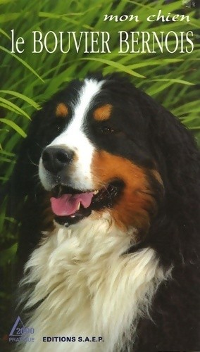 Mon chien bouvier bernois - bouvier,