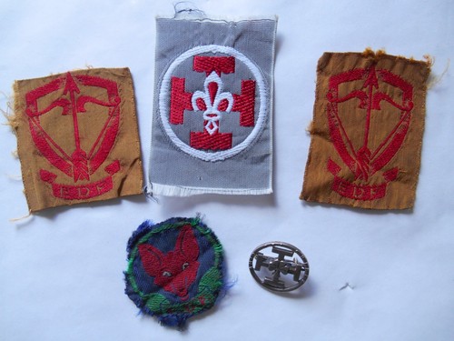 Lot anciens insignes - lot, scouts