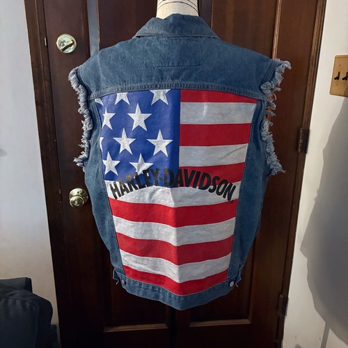 Harley davidson biker - harley,