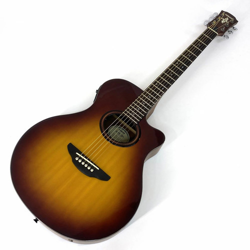 Guitare électrique acoustique