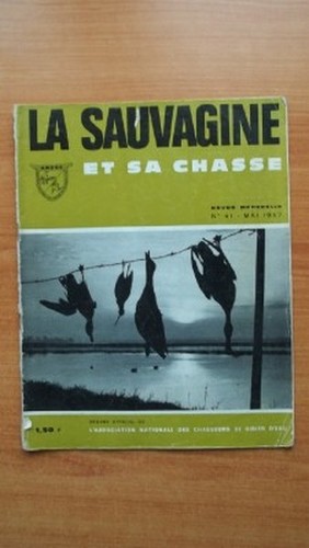 Sauvagine sa chasse - sauvagine,
