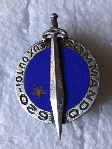 Insigne militaire guerre - insigne, de