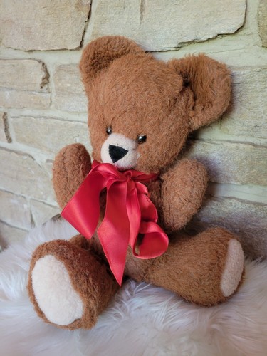 Joli petit ours nounours - ours,