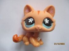 PETSHOP  CHAT SPHYNX N°649