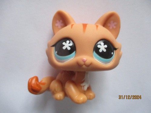 Petshop chat sphynx 649 - sphynx, n°649