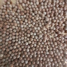 3 sachets de graines = 1 timbre