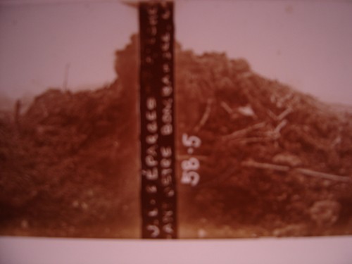 Guerre wwi ww1 - guerre, photo
