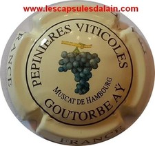 BELLE CAPSULE CHAMPAGNE