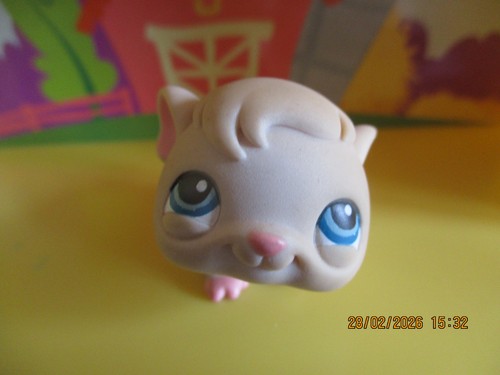 Petshop cochon inde 288 - d'inde, #288