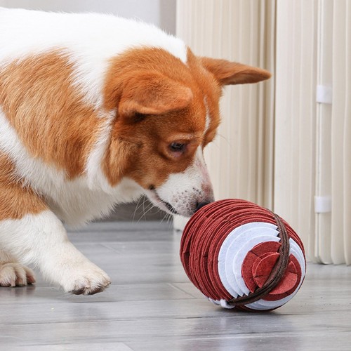 Jouets mâcher pour chien - mâcher,