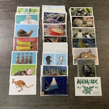 Animaux 2020 grand - animaux, album