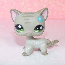 authentic littlest LPS PETSHOP 483 siamese cat chat european européen shorthair