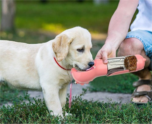Gourde Chien Voyage 3 en 1