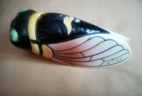 Ancienne cigale yeux - cigale,