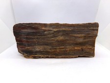 Splendide morceau de bois