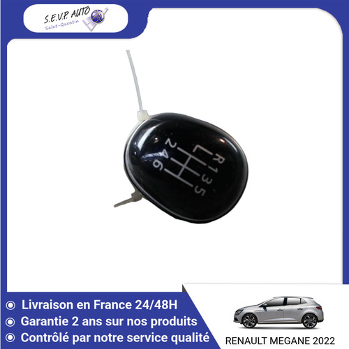 Pommeau levier - 🇫🇷,