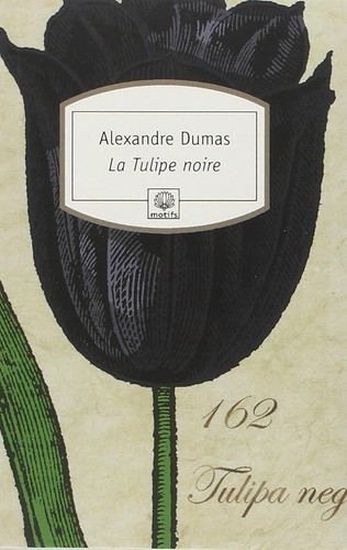 Tulipe noire dumas - -,