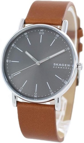 Montre pour homme skagen - homme,