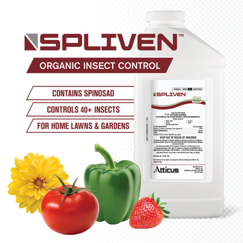 Spliven insecticide for - spliven,