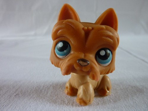 Petshop lps littlest - petshop,