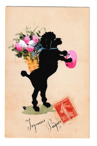 Chien caniche dessiné et - chien,,