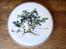 Dessous de plat 20 cm en vitro