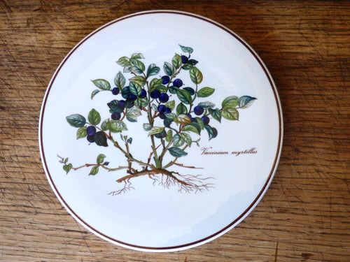 Dessous plat en - en, vitro