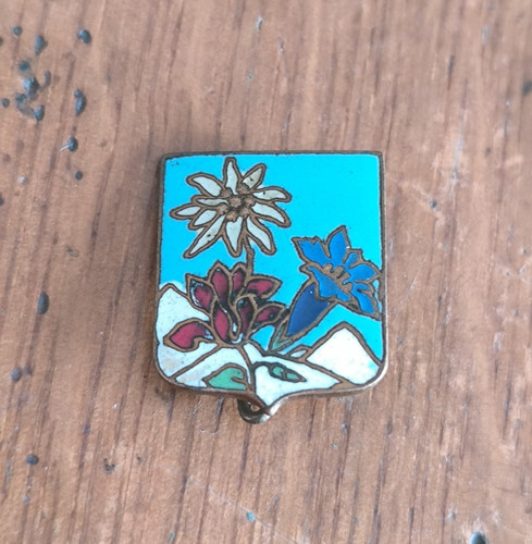 Insigne broche blason montagne - broche,