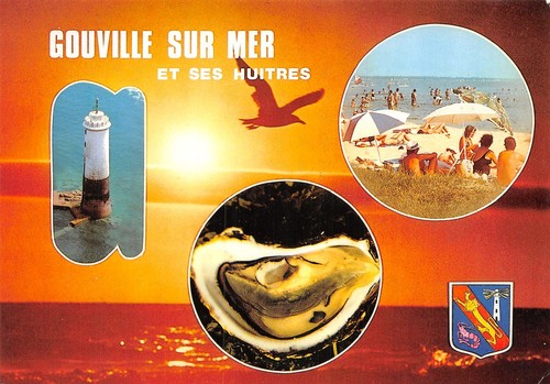 Gouville sur - 50-gouville,