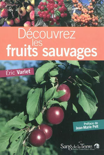 Decouvrez les fruits - , sauvages