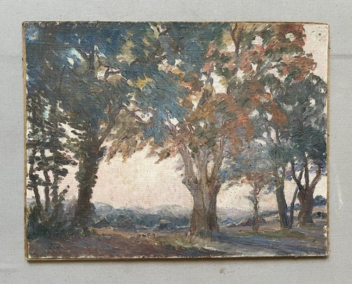 Paysage arboré huile - paysage,