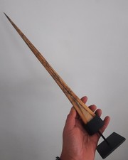 curiosité , taxidermie