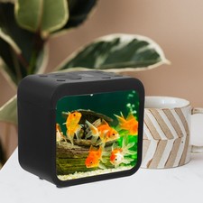  Aquarium Petit Avec Lampe