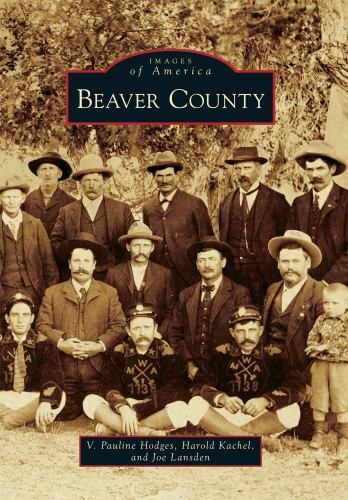 Beaver county paperback by - paperback,
